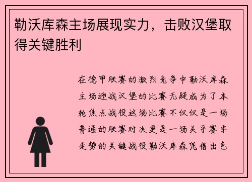 勒沃库森主场展现实力，击败汉堡取得关键胜利