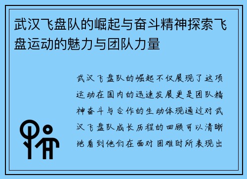 武汉飞盘队的崛起与奋斗精神探索飞盘运动的魅力与团队力量