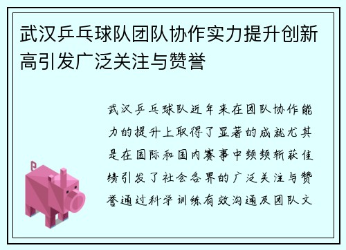 武汉乒乓球队团队协作实力提升创新高引发广泛关注与赞誉